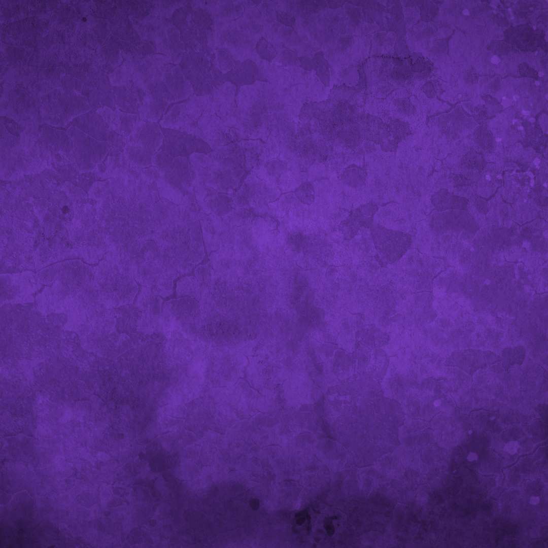 Search Engine Optimisation in Carlisle